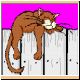 katze54_ani.gif