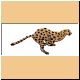 katze99_ani.gif