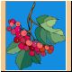 obst11_no.gif
