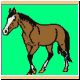 pferd29_ani.gif