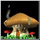 pilz02_ani.gif