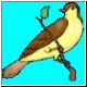 vogel48_ani.gif