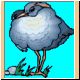 vogel50_ani.gif