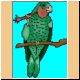 vogel53_ani.gif