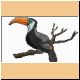 vogel81_ani.gif