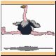vogel83_ani.gif