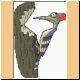 vogel84_ani.gif